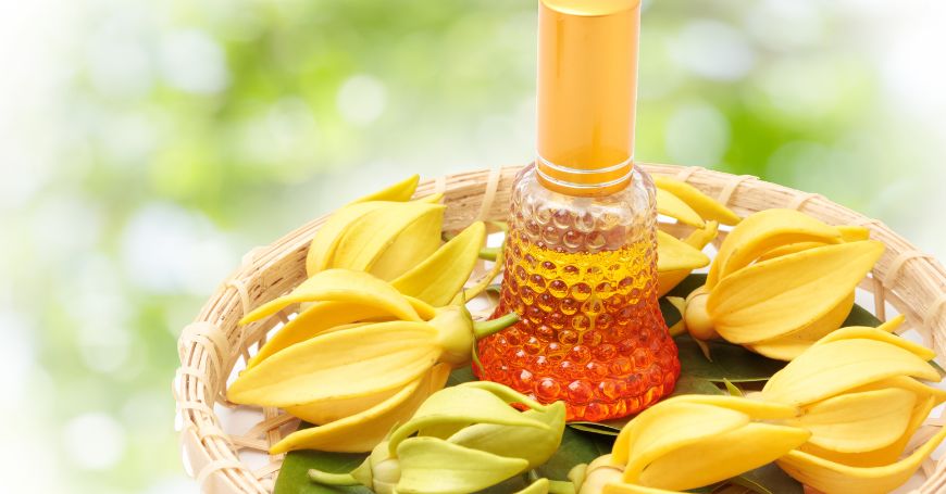 olio essenziale di ylang ylang circondato da fiori